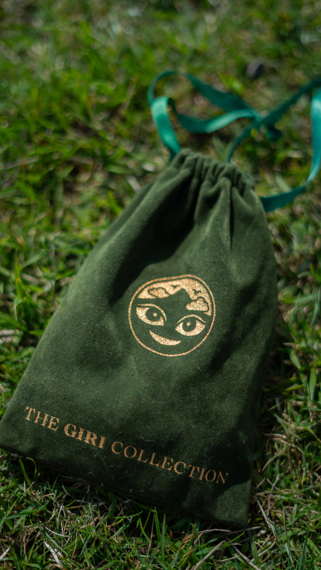 Velvet Carrying Bag