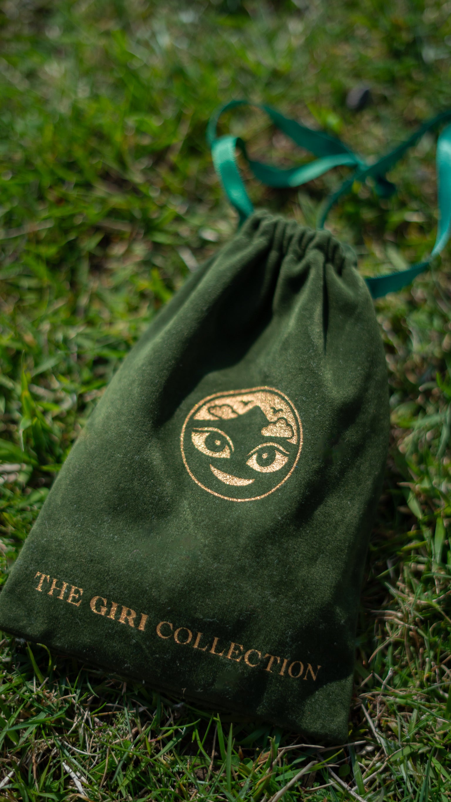 Velvet Carrying Bag